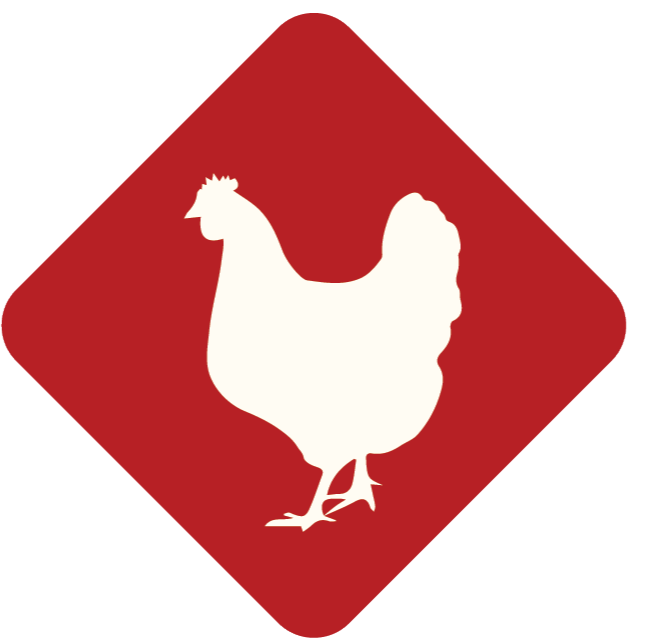 Chicken Liver