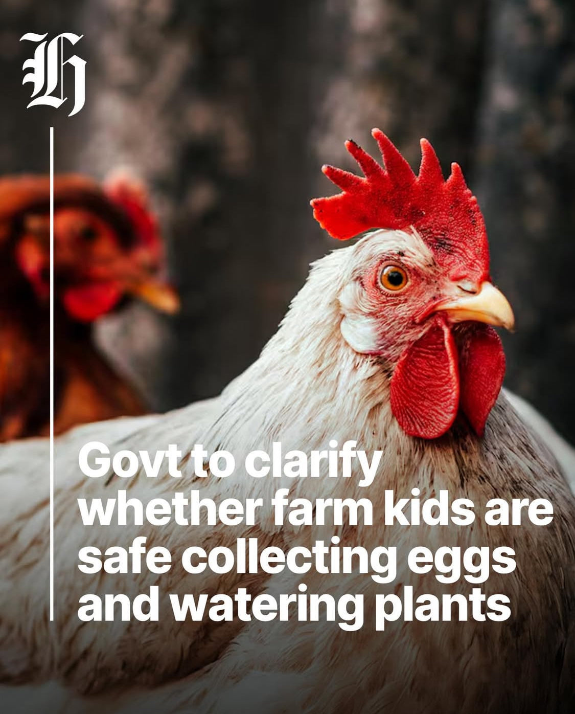 What Our 7-Year-Old Taught Us About Grit, Safety, and Feeding Your People Well