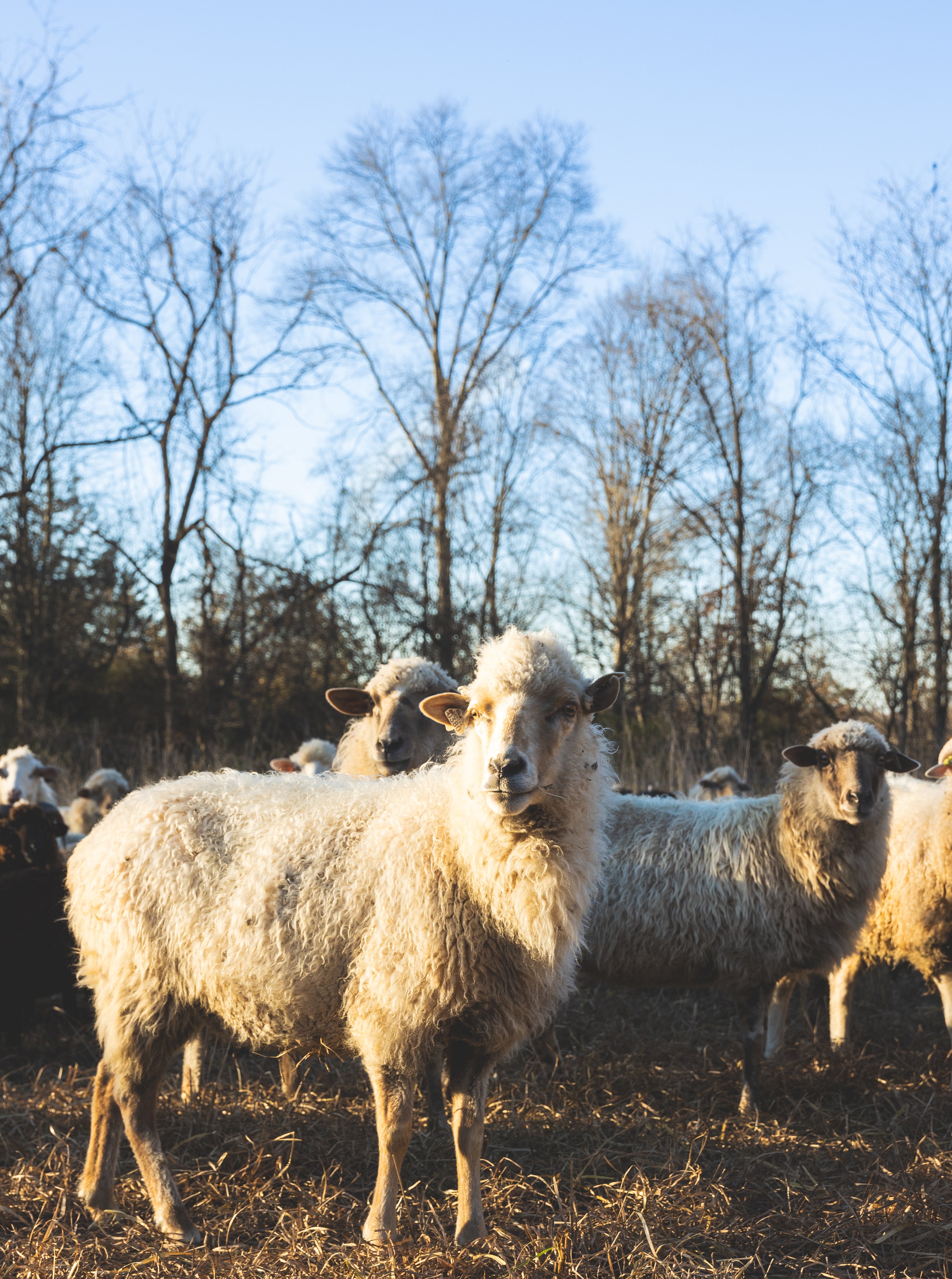 Recipes – Flourish & Roam