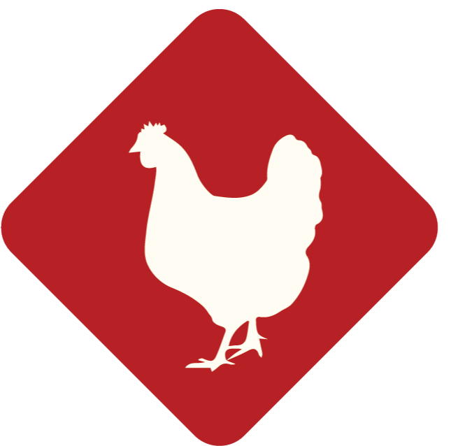 Ground Chicken